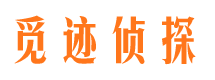 越城市私人侦探